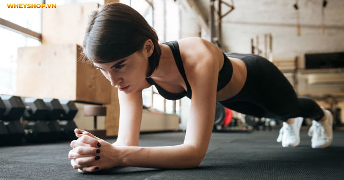 1-phut-plank-bang-bao-nhieu-cai-gap-bung-4