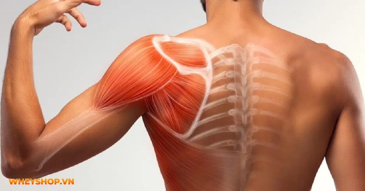 1-qua-chuoi-bao-nhieu-calo-03-min