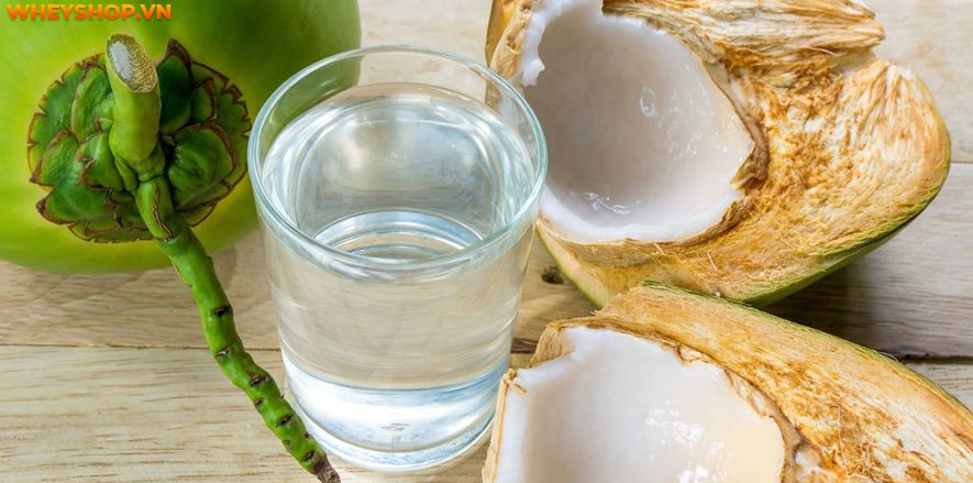 Nếu bạn đang băn khoăn 1 quả dừa bao nhiêu calo thì hãy cùng WheyShop tìm hiểu giải đáp thắc mắc qua bài viết ngay sau đây nhé ...