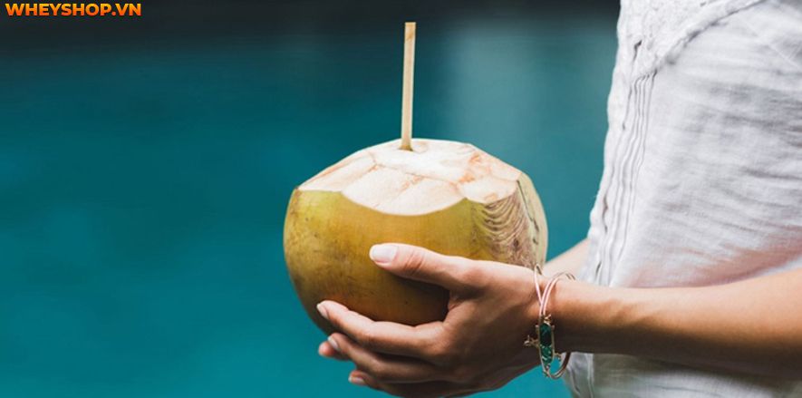 Nếu bạn đang băn khoăn 1 quả dừa bao nhiêu calo thì hãy cùng WheyShop tìm hiểu giải đáp thắc mắc qua bài viết ngay sau đây nhé ...