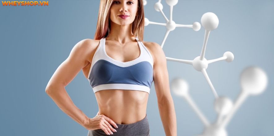 Nếu bạn đang băn khoăn 1 quả dừa bao nhiêu calo thì hãy cùng WheyShop tìm hiểu giải đáp thắc mắc qua bài viết ngay sau đây nhé ...