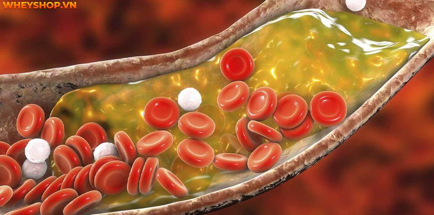 Nếu bạn đang băn khoăn 1 quả dừa bao nhiêu calo thì hãy cùng WheyShop tìm hiểu giải đáp thắc mắc qua bài viết ngay sau đây nhé ...