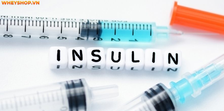 Nếu bạn đang băn khoăn 1 quả dừa bao nhiêu calo thì hãy cùng WheyShop tìm hiểu giải đáp thắc mắc qua bài viết ngay sau đây nhé ...