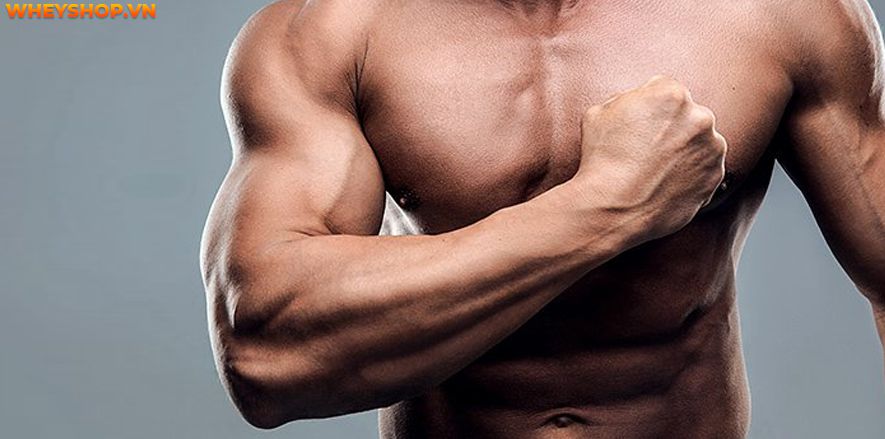 Nếu bạn đang băn khoăn 1 quả dừa bao nhiêu calo thì hãy cùng WheyShop tìm hiểu giải đáp thắc mắc qua bài viết ngay sau đây nhé ...