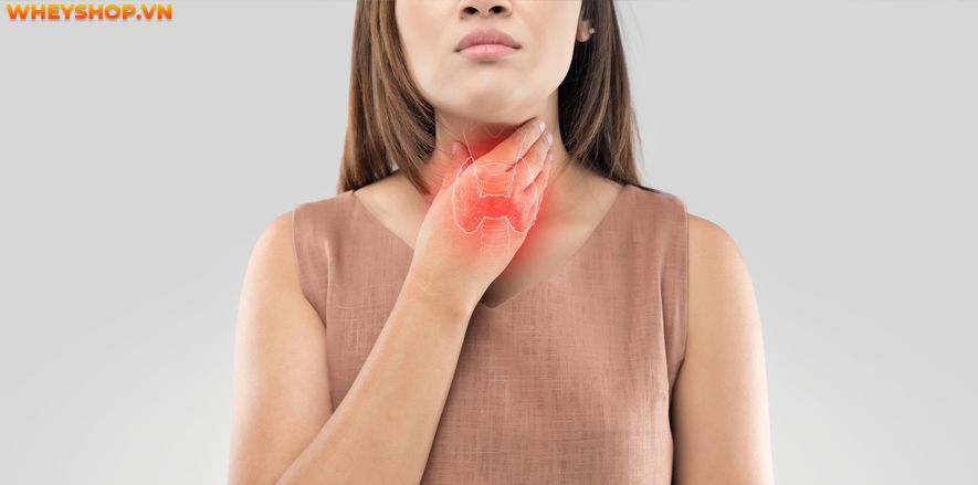 Nếu bạn đang băn khoăn 1 quả dừa bao nhiêu calo thì hãy cùng WheyShop tìm hiểu giải đáp thắc mắc qua bài viết ngay sau đây nhé ...