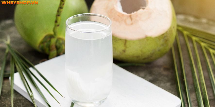 Nếu bạn đang băn khoăn 1 quả dừa bao nhiêu calo thì hãy cùng WheyShop tìm hiểu giải đáp thắc mắc qua bài viết ngay sau đây nhé ...