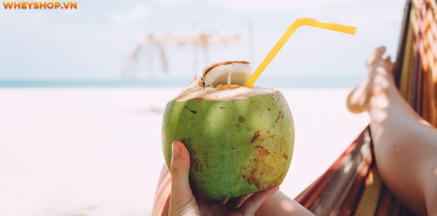 Nếu bạn đang băn khoăn 1 quả dừa bao nhiêu calo thì hãy cùng WheyShop tìm hiểu giải đáp thắc mắc qua bài viết ngay sau đây nhé ...