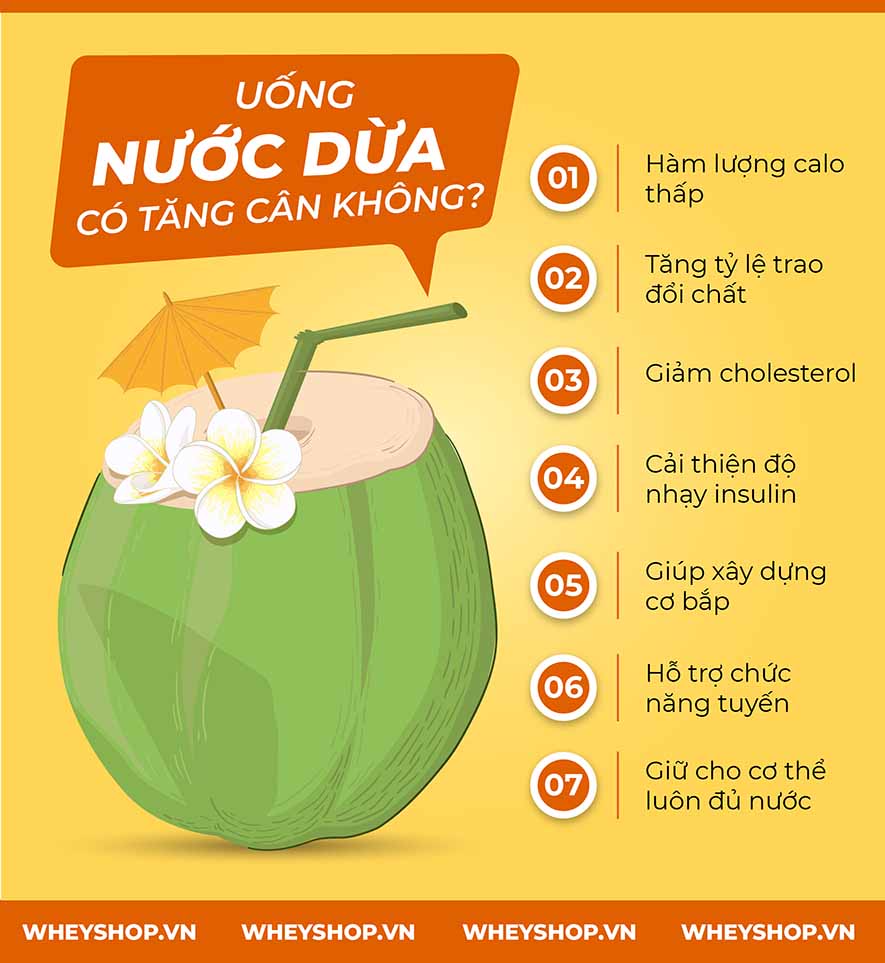 Nếu bạn đang băn khoăn 1 quả dừa bao nhiêu calo thì hãy cùng WheyShop tìm hiểu giải đáp thắc mắc qua bài viết ngay sau đây nhé ...