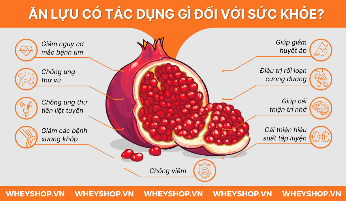Hương vị thơm ngon và giàu chất dinh dưỡng, Lựu là một trong những loại trái cây được yêu thích. Vậy 1 quả lựu có bao nhiêu calo? Ăn lựu có béo không ? Xin...