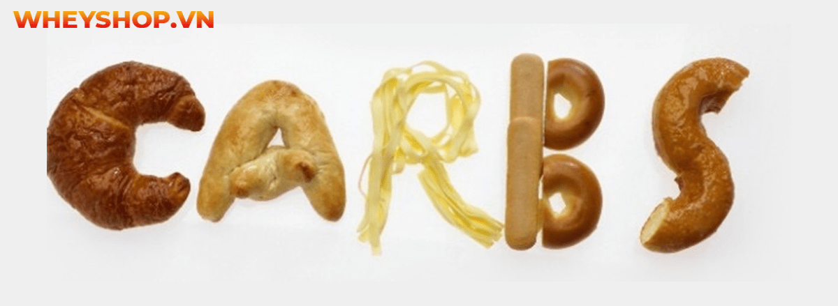 Carb là gì? Tìm hiểu chi tiết về carb cùng 15 sự thật về carb mà bạn chưa từng biết tới qua bài viết sau đây cùng WheyShop nhé ....