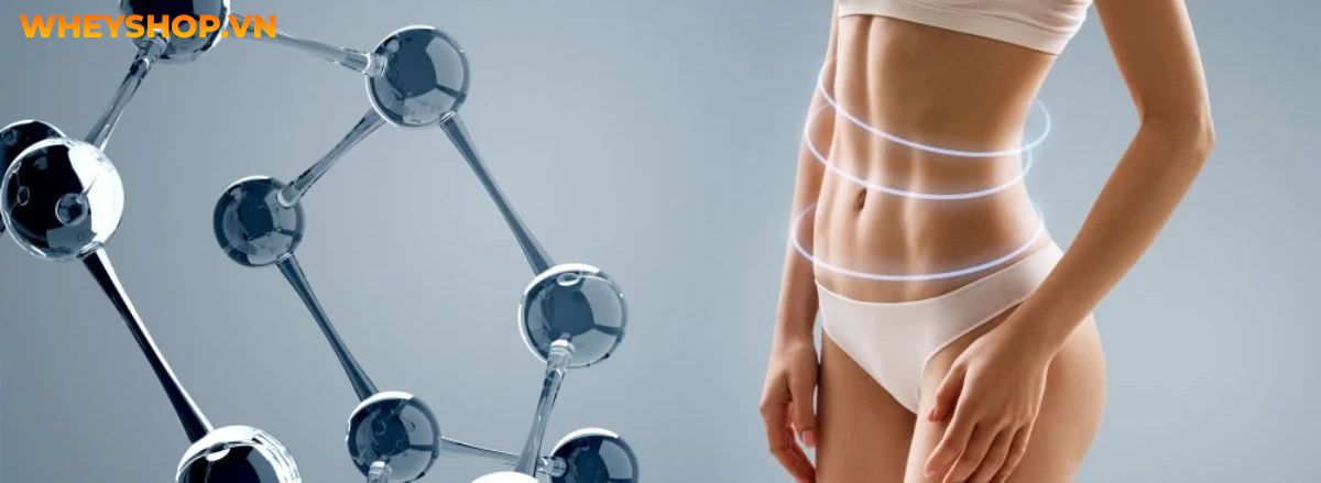 Nếu bạn đã tìm hiểu về trao đổi chất hãy cùng WheyShop tham khảo 9 cách tăng cường trao đổi chất đơn giản, hỗ trợ giảm cân nhanh chóng, hiệu quả....