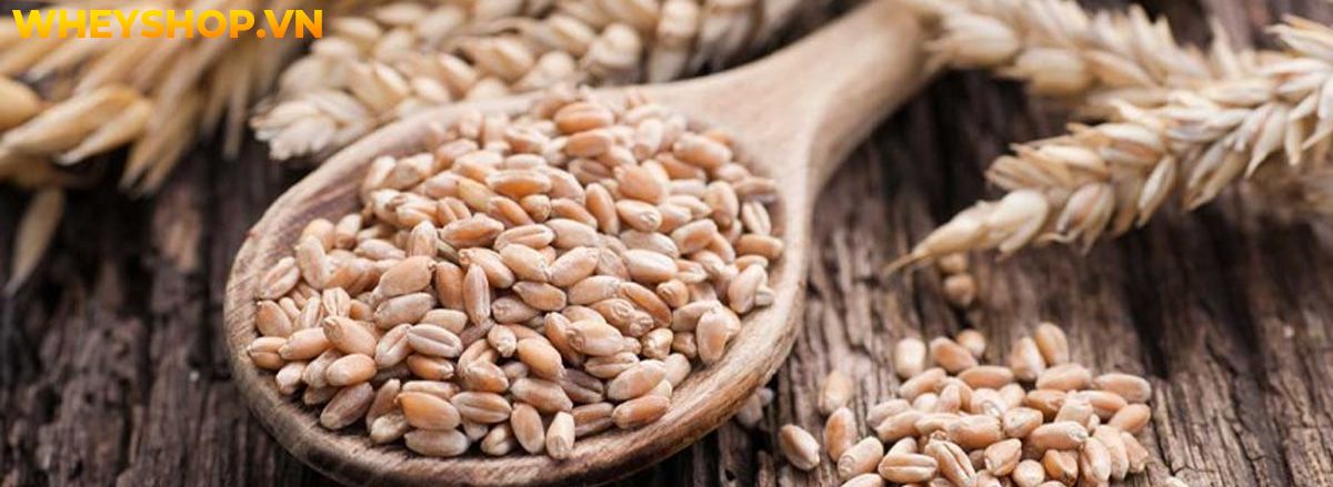 Nếu bạn đang băn khoăn tìm kiếm thực phẩm giàu chất xơ giảm cân thì hãy cùng WheyShop điểm qua 30 thực phẩm giàu chất xơ giảm cân trong bài..