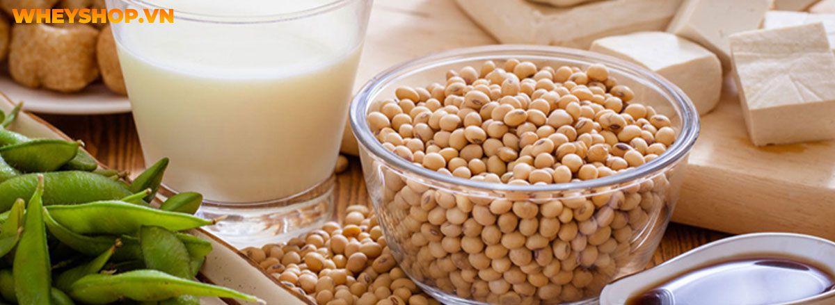 Tìm hiểu vai trò của thực phẩm giàu chất xơ đối với sức khỏe và top 30 thực phẩm giàu chất xơ tốt nhất mà WheyShop chia sẻ trong bài viết...