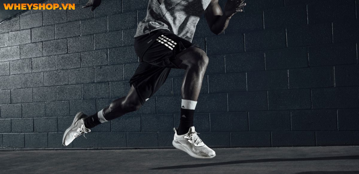 Nếu bạn đang băn khoăn trong việc tìm kiếm giày chạy bộ adidas phù hợp thì hãy cùng WheyShop điểm qua top 15 giày chạy bộ adidas trong bài..