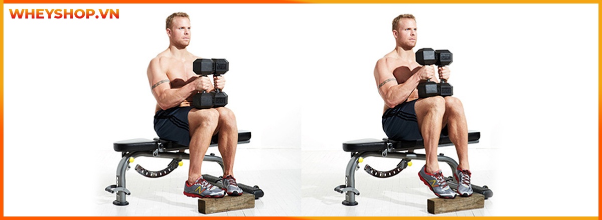 Tập bắp chân to tròn luôn là mơ ước của rất nhiều nam giới tập gym. Bắp chân to cân đối cùng cơ đùi, tạo dáng vẻ khỏe khoắn, nam tính. Tuy nhiên không phải...