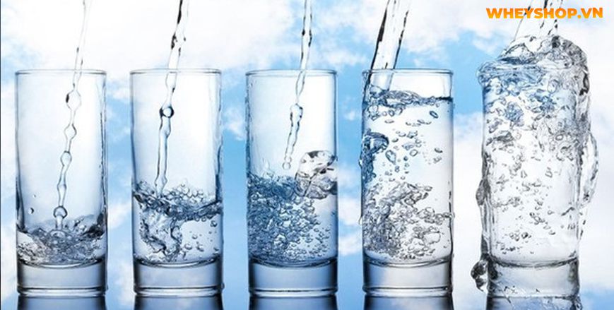 Nếu bạn đang phân vân trong việc tìm cách uống nước giảm cân thì hãy cùng WheyShop tham khảo ngay 5 cách lên lịch uống nước giảm cân...