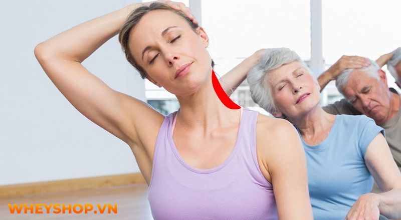 Mặt mâm là nỗi lo của rất nhiều người do tích mỡ thừa. Cùng WheyShop điểm qua 10 bài tập giảm mặt mâm đơn giản, hiệu quả nhất qua bài viết...