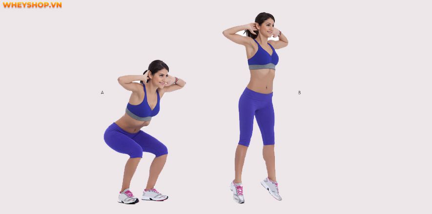 Nếu bạn đang băn khoăn trong việc lựa chọn các bài tập bụng nhỏ eo thon hiệu quả, hãy cùng WheyShop tìm hiểu ngay 10 bài tập dưới đây