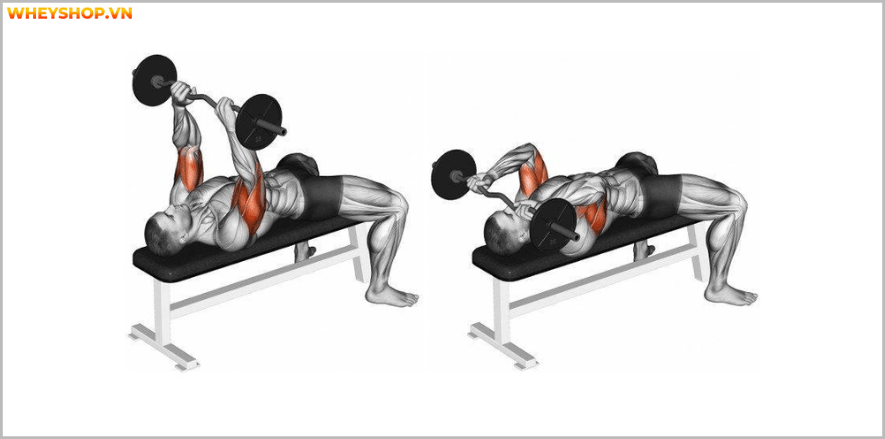 Hướng dẫn cách tính Macro từng bước vô cùng đơn giản. Macro giúp kiểm soát calories nạp vào, hỗ trợ giảm cân hiệu quả, tăng cân tăng cơ dễ dàng cho bất cứ ai...