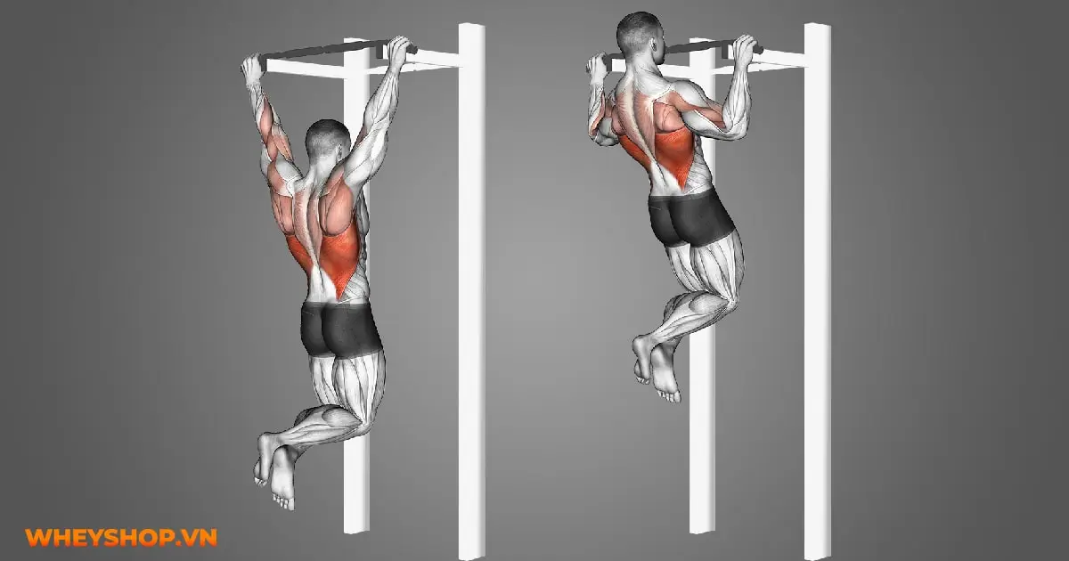 10-bai-tap-tang-co-cho-nam-02-min