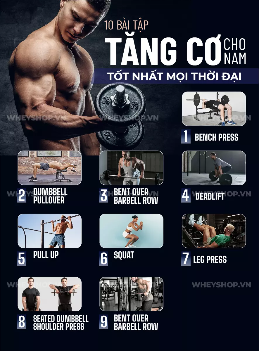 Cùng WheyShop tìm hiểu ngay 10 bài tập tăng cơ bắp cho nam hiệu quả nhất mọi thời đại. Những bài tập tăng cơ giúp bạn sở hữu cơ bắp nhanh, đơn giản, dễ dàng ...