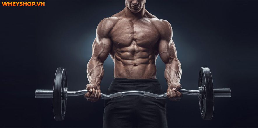 Nếu bạn đang băn khoăn không biết cách tăng sức mạnh cơ bắp hiệu quả thì hãy cùng WheyShop tham khảo 10 bài tập tăng sức mạnh cơ bắp hiệu quả nhất...