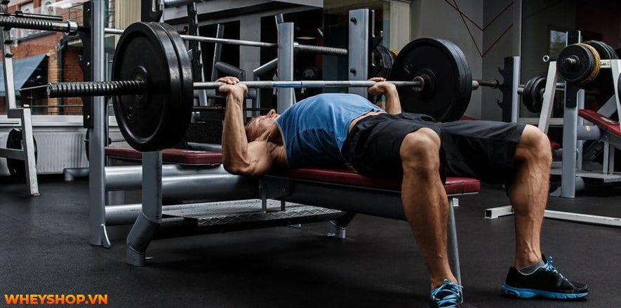 Nếu bạn đang băn khoăn không biết cách tăng sức mạnh cơ bắp hiệu quả thì hãy cùng WheyShop tham khảo 10 bài tập tăng sức mạnh cơ bắp hiệu quả nhất...