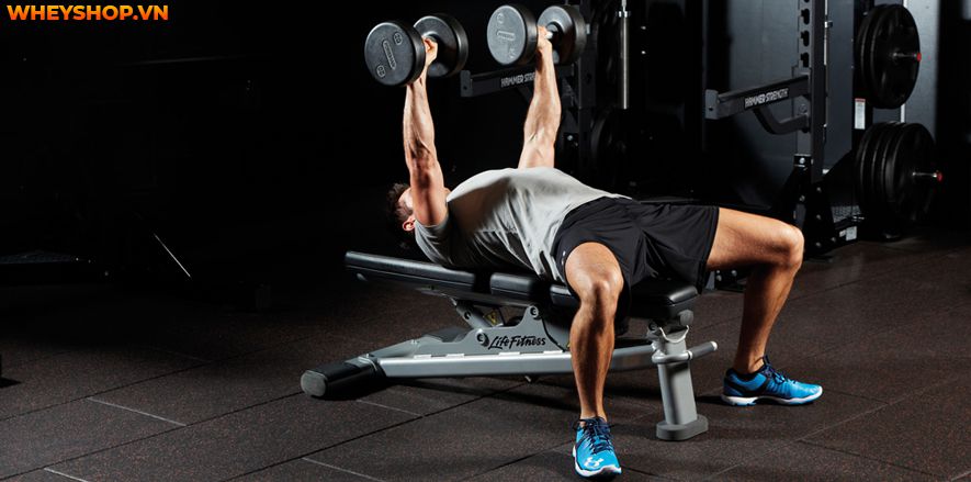 Nếu bạn đang băn khoăn không biết cách tăng sức mạnh cơ bắp hiệu quả thì hãy cùng WheyShop tham khảo 10 bài tập tăng sức mạnh cơ bắp hiệu quả nhất...