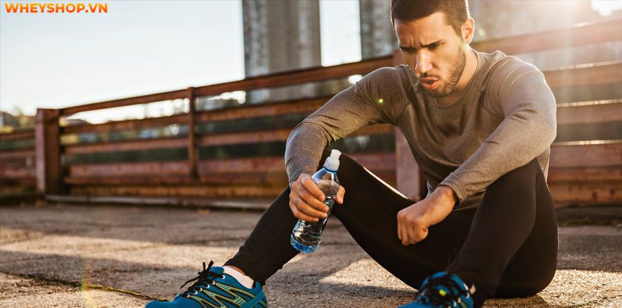 Nếu bạn đang băn khoăn không biết cách tăng sức mạnh cơ bắp hiệu quả thì hãy cùng WheyShop tham khảo 10 bài tập tăng sức mạnh cơ bắp hiệu quả nhất...