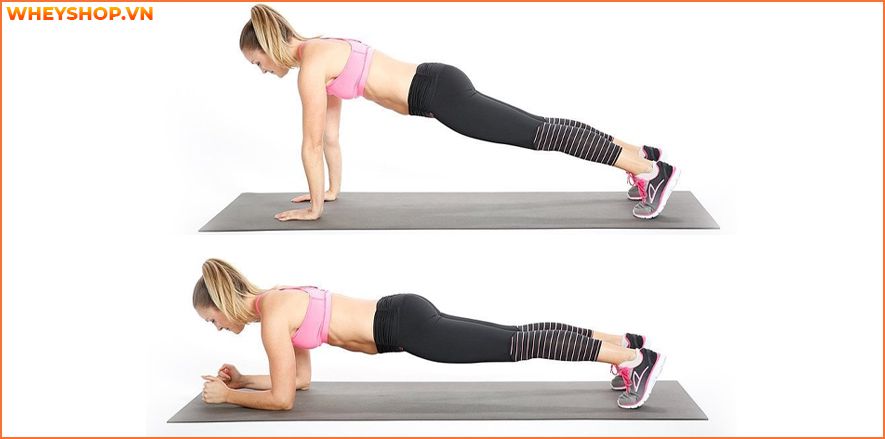 Nếu bạn đang băn khoăn không biết cách tăng sức mạnh cơ bắp hiệu quả thì hãy cùng WheyShop tham khảo 10 bài tập tăng sức mạnh cơ bắp hiệu quả nhất...