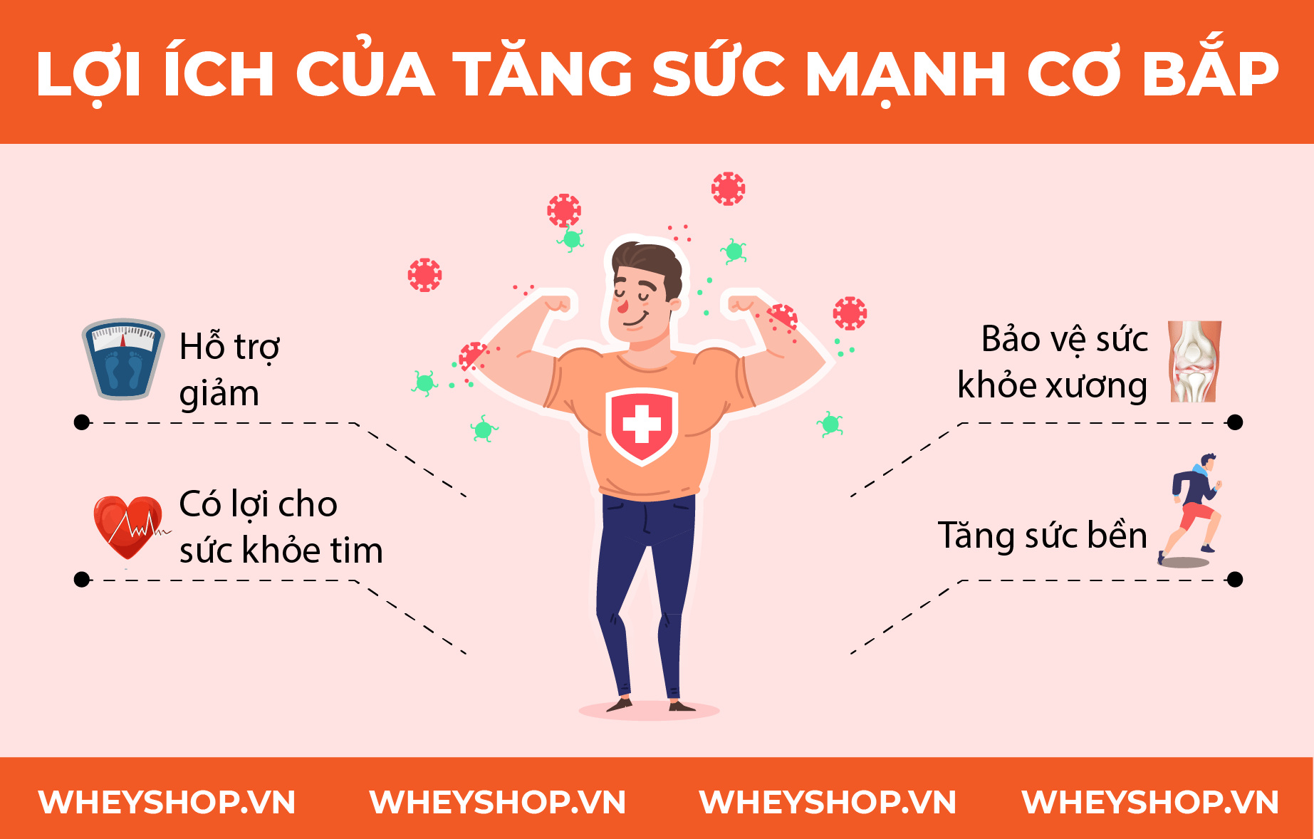 Nếu bạn đang băn khoăn không biết cách tăng sức mạnh cơ bắp hiệu quả thì hãy cùng WheyShop tham khảo 10 bài tập tăng sức mạnh cơ bắp hiệu quả nhất...