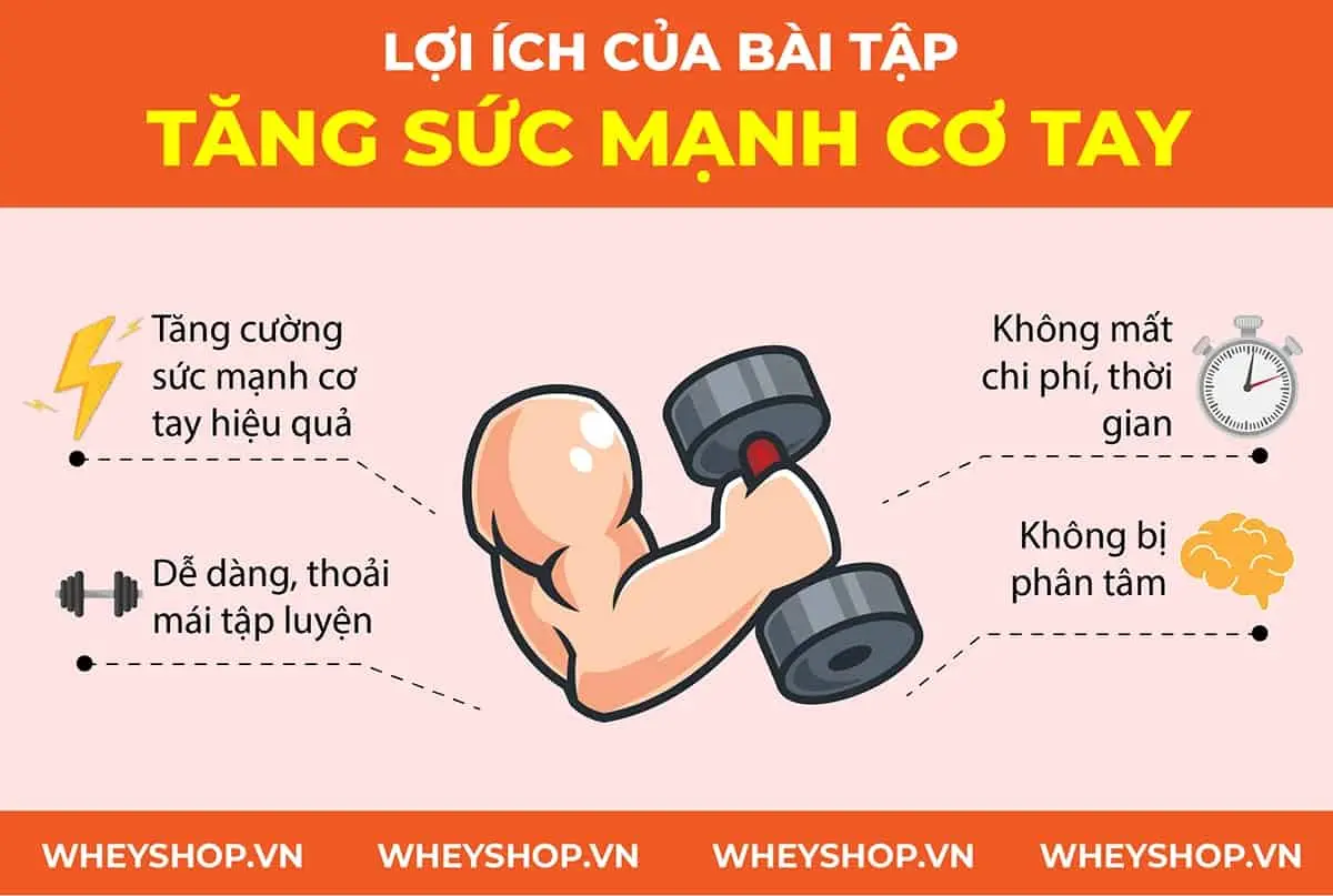 10-bai-tap-tang-suc-manh-co-tay-tot-nhat-tai-nha-5