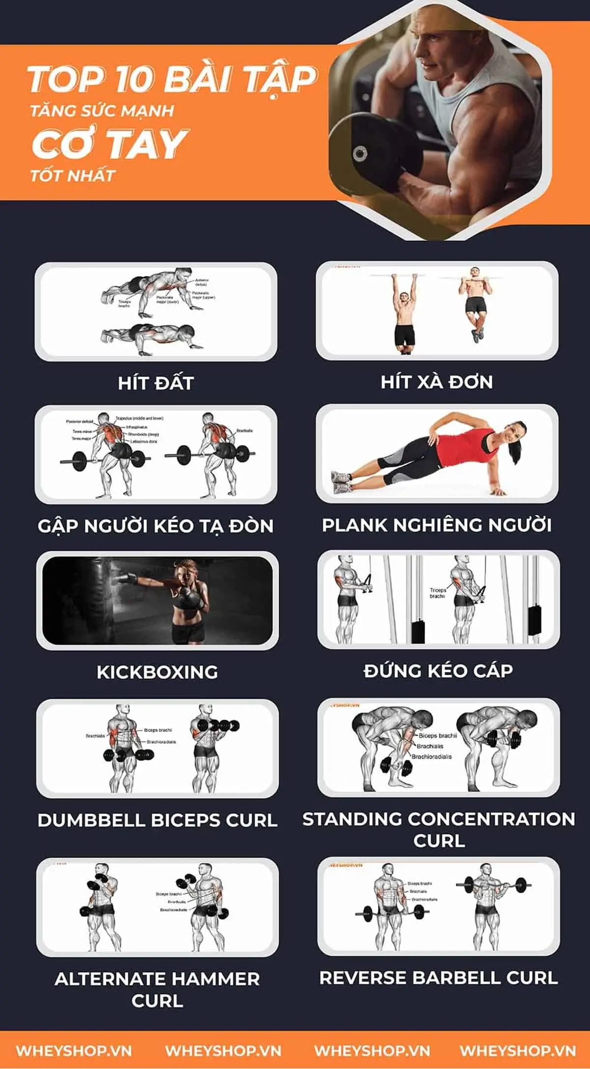 10-bai-tap-tang-suc-manh-co-tay-tot-nhat-tai-nha-5