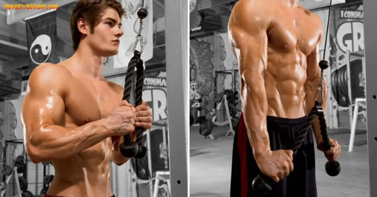 10-bai-tap-tang-suc-manh-co-tay-tot-nhat-tai-nha-5