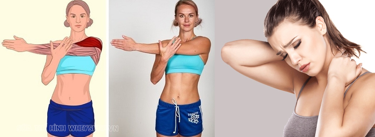 Cùng WheyShop tìm hiểu ngay 10 bài tập vay gáy hiệu quả giúp giảm đau nhức tức thời, cải thiện tính linh hoạt và sức khỏe vai gáy đơn giản mà hiệu quả nhé ...