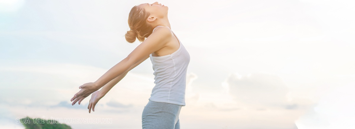 Cùng WheyShop tìm hiểu ngay 10 bài tập vay gáy hiệu quả giúp giảm đau nhức tức thời, cải thiện tính linh hoạt và sức khỏe vai gáy đơn giản mà hiệu quả nhé ...