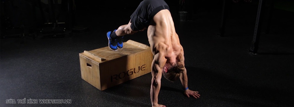 Cùng WheyShop tìm hiểu 10 bài tập vai sau tốt nhất cho nam cắt nét toàn diện dành cho nam giới phát triển cơ vai tối đa, rộng và săn chắc nhé...