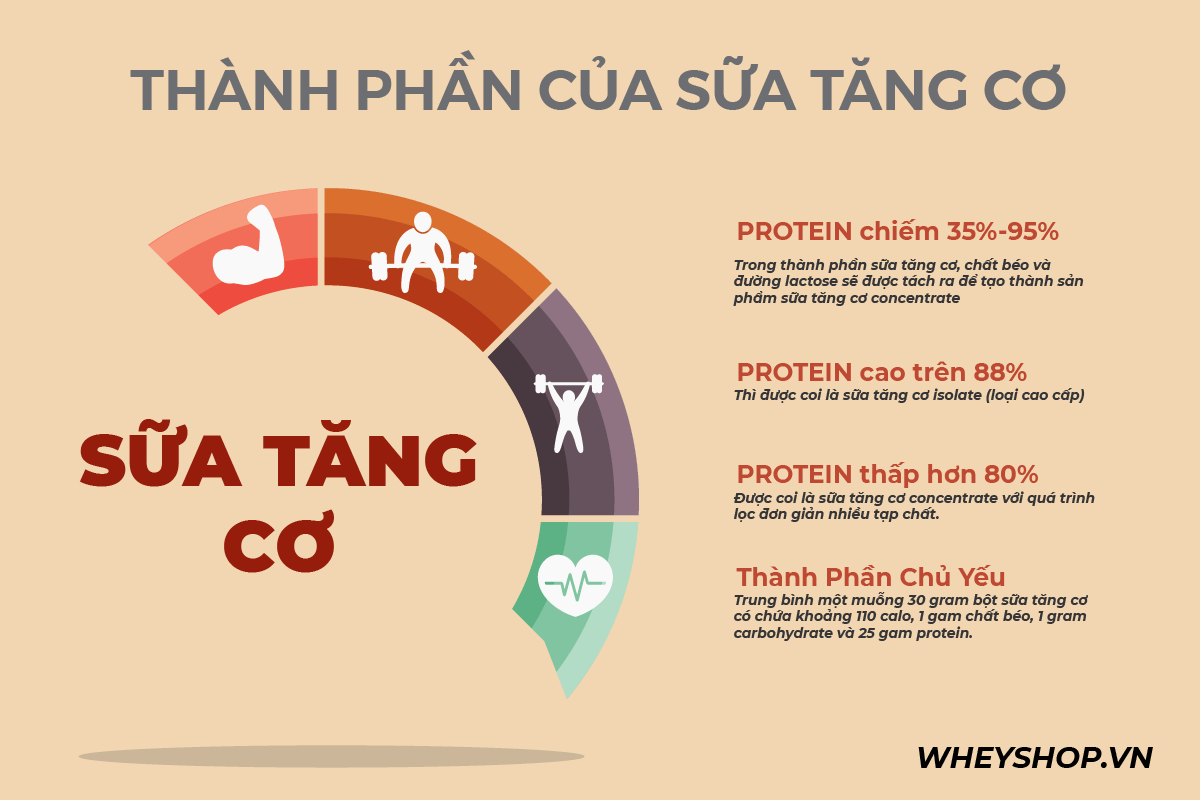 nhung dieu nen biet ve whey concentrate 80 whey concentrate la gi