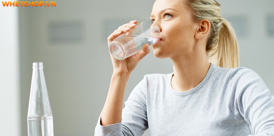 Nếu bạn đang băn khoăn tìm cách tăng cân cho người đau dạ dày thì hãy cùng WheyShop tham khảo chi tiết bài sau nhé...