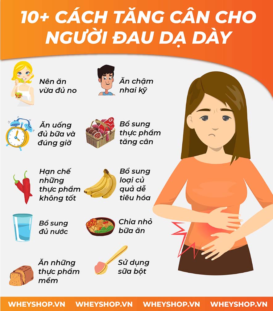 Nếu bạn đang băn khoăn tìm cách tăng cân cho người đau dạ dày thì hãy cùng WheyShop tham khảo chi tiết bài sau nhé...