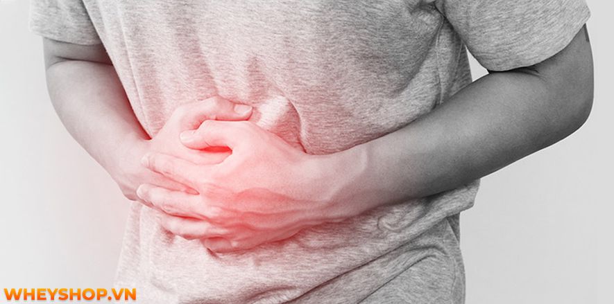 Nếu bạn đang băn khoăn tìm cách tăng cân cho người đau dạ dày thì hãy cùng WheyShop tham khảo chi tiết bài sau nhé...
