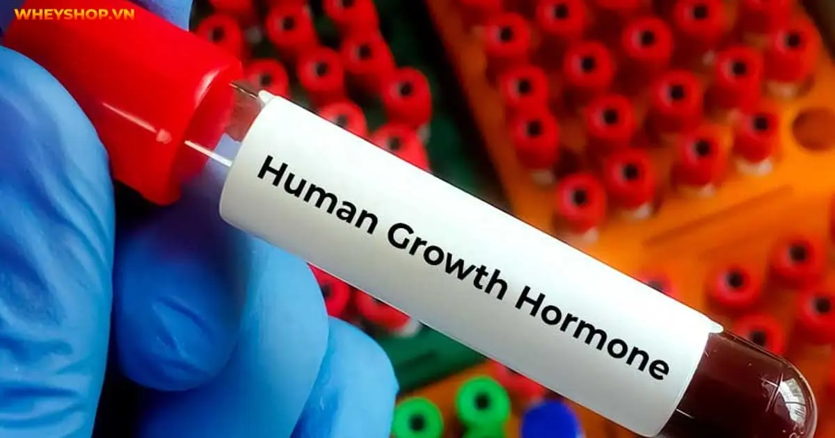 10-cach-tang-hgh-tu-nhien-cho-nguoi-tap-gym-7