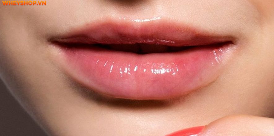 Nếu bạn đang băn khoăn tìm cách tẩy tế bào chết môi thì hãy cùng WheyShop tham khảo chi tiết bài viết tổng hợp 10 cách tẩy tế bào chết môi tại nhà...