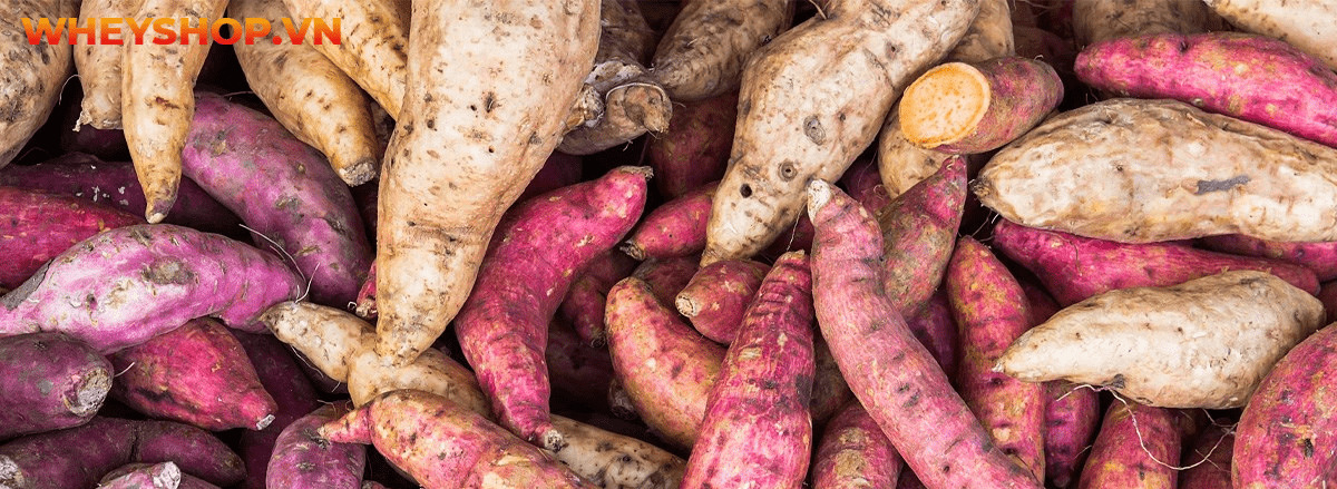 Carb là gì? Tìm hiểu chi tiết về carb cùng 15 sự thật về carb mà bạn chưa từng biết tới qua bài viết sau đây cùng WheyShop nhé ....