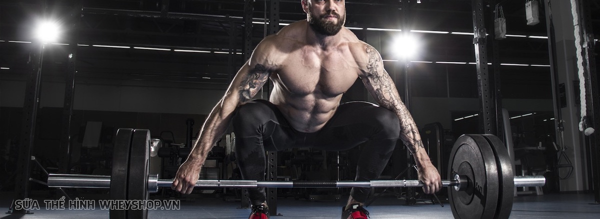 Tăng cơ giảm mỡ là điều mà bất cứ ai tập thể hình đều mong muốn. Cùng WheyShop tham khảo ngay 10 lịch tập gym tăng cơ giảm mỡ tốt nhất mọi thời đại nhé...