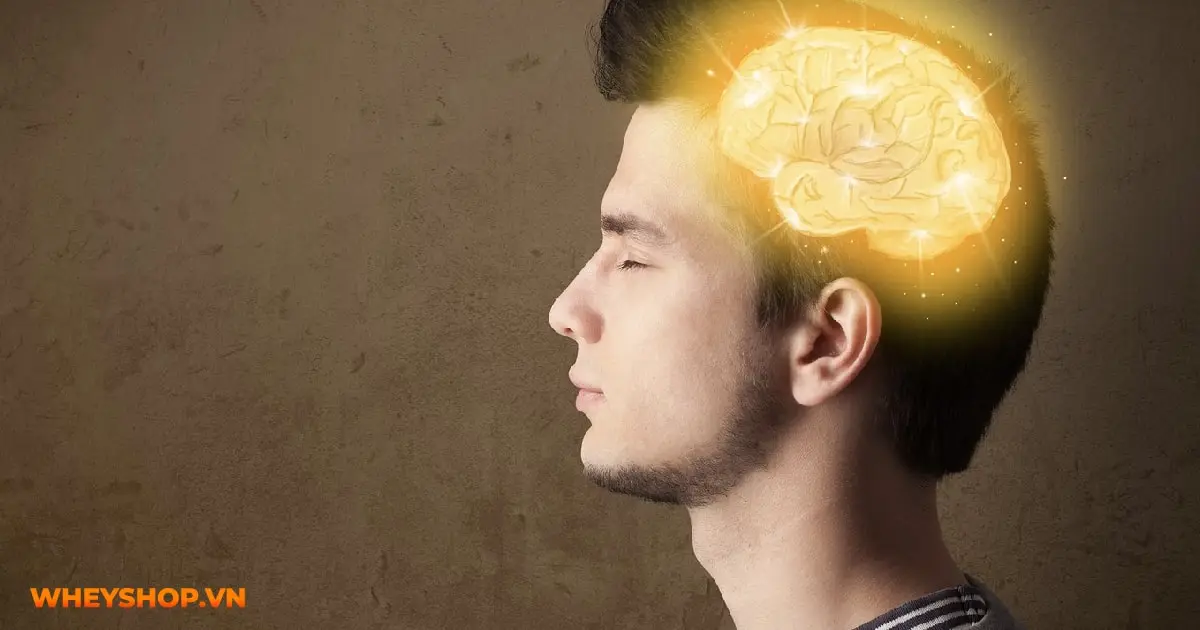 10-loi-ich-cua-hat-de-khien-ban-ngo-ngang-04-min