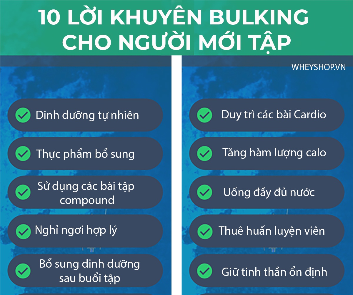 Bulking hay xả cơ là quá trình tăng cân, phát triển cơ bắp cho người tập gym, thể hình. Cùng tìm hiểu 10 lời khuyên Bulking dành cho người tập gym hiệu quả nhất