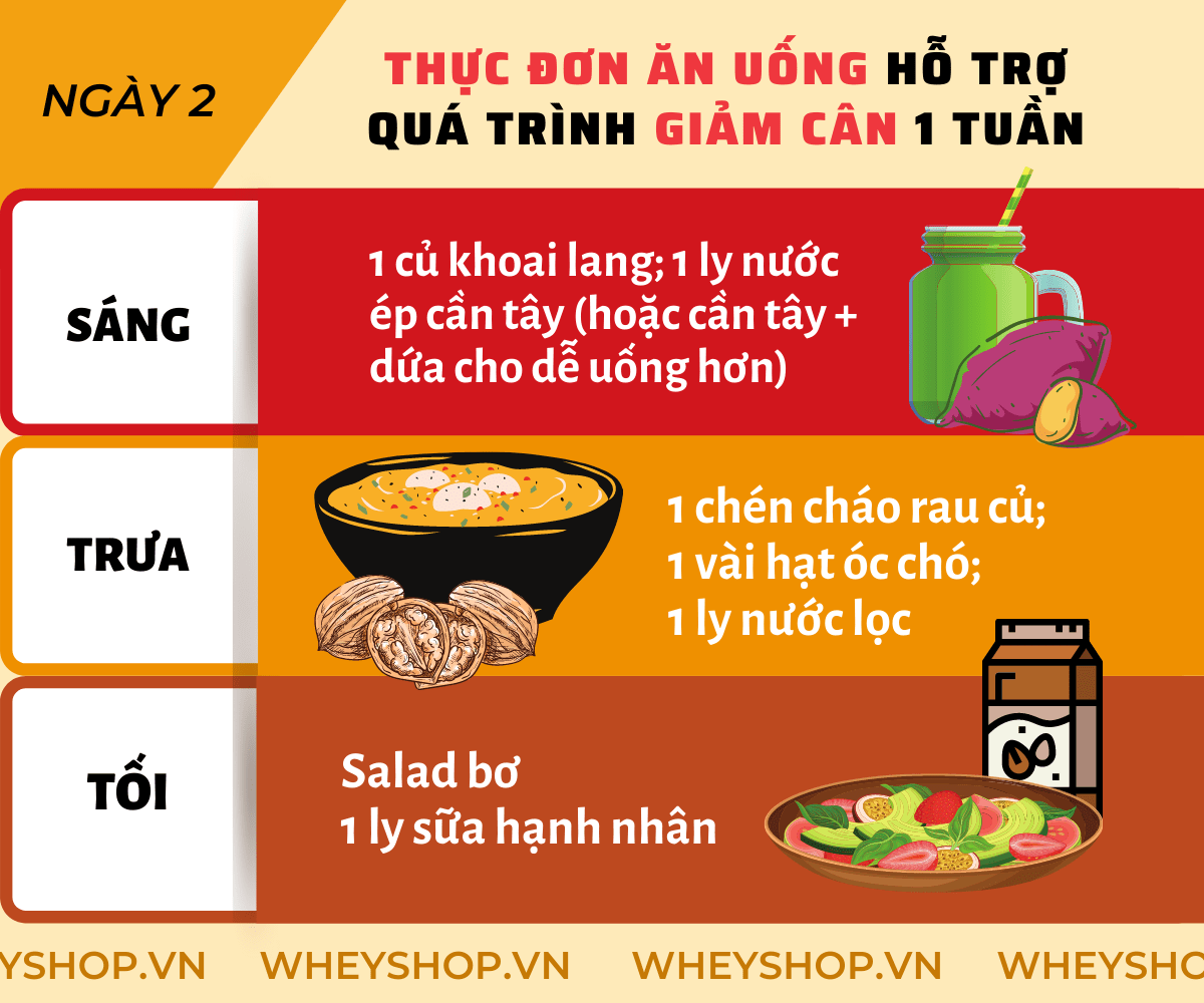 Nếu bạn đang băn khoăn trong việc tìm phương pháp giảm cân trong 1 tuần hiệu quả, đơn giản thì hãy cùng WheyShop tham khảo chi tiết qua bài viết ngay sau đây...