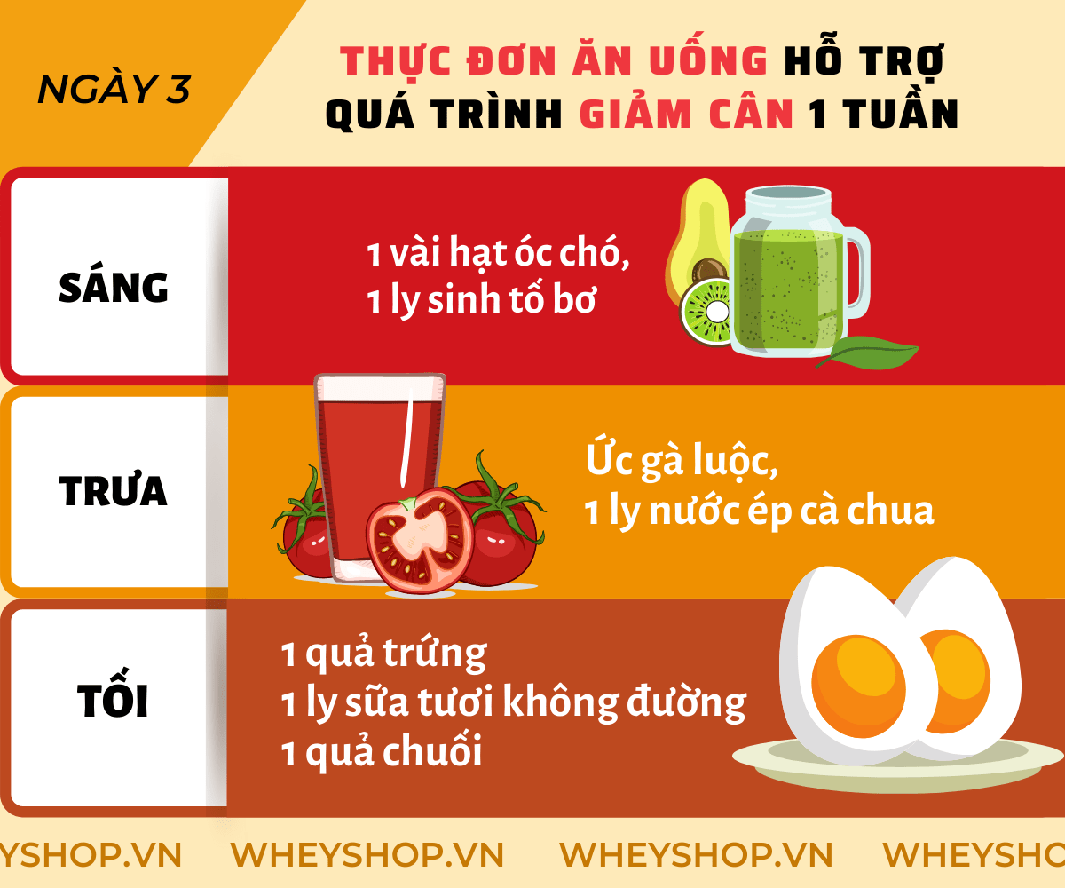 Nếu bạn đang băn khoăn trong việc tìm phương pháp giảm cân trong 1 tuần hiệu quả, đơn giản thì hãy cùng WheyShop tham khảo chi tiết qua bài viết ngay sau đây...
