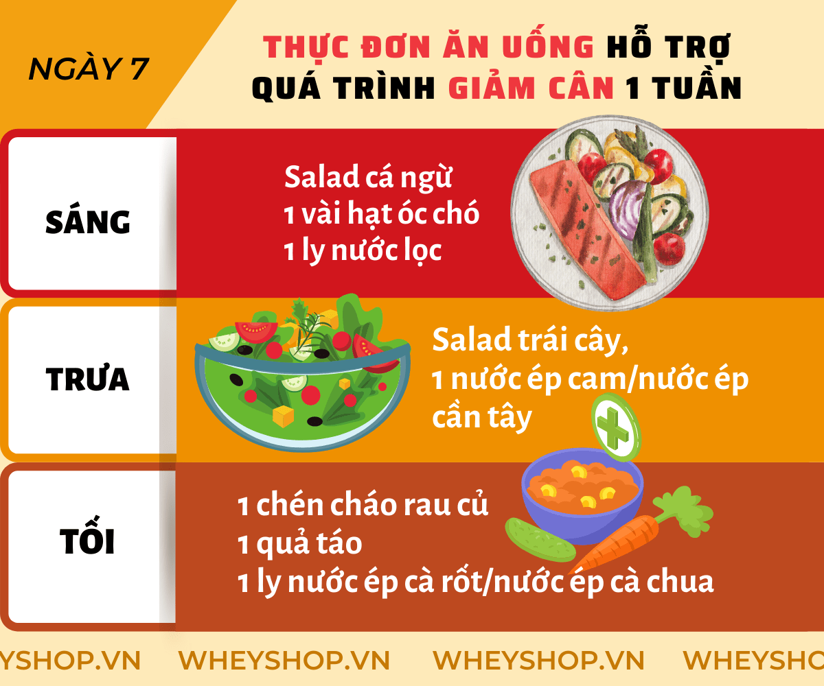 Nếu bạn đang băn khoăn trong việc tìm phương pháp giảm cân trong 1 tuần hiệu quả, đơn giản thì hãy cùng WheyShop tham khảo chi tiết qua bài viết ngay sau đây...